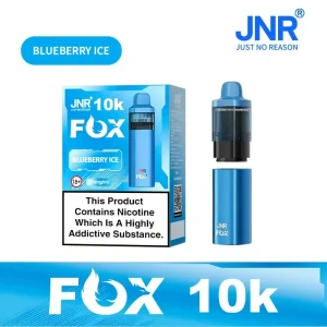 Box of 5 JNR Aurora 30000 Puffs Prefilled Pod Vape Kit